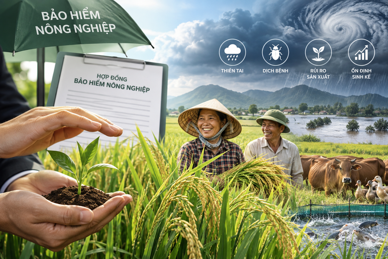 Ch&iacute;nh thức hỗ trợ tối đa 95% ph&iacute; bảo hiểm n&ocirc;ng nghiệp- Ảnh 1.