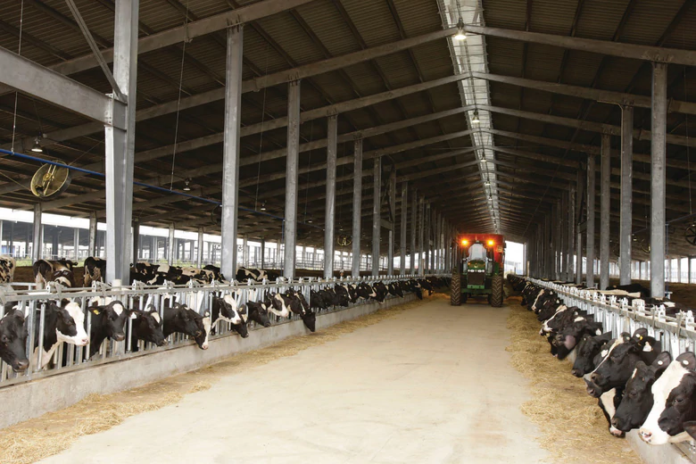 Quản trị sức khỏe đ&agrave;n b&ograve; g&oacute;p phần th&uacute;c đẩy chăn nu&ocirc;i ph&aacute;t thải thấp tại TH- Ảnh 2.
