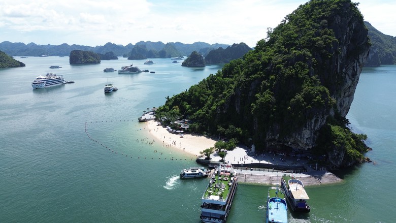 Quảng Ninh quy hoạch gần 140.000ha mặt biển phát triển nuôi trồng thủy sản- Ảnh 1.