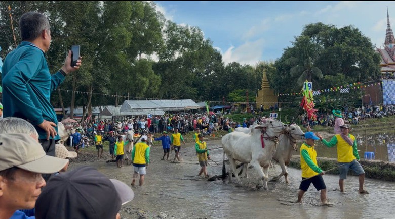 32 đôi bò tranh tài tại Hội đua bò truyền thống chùa Rô ở An Giang- Ảnh 6.