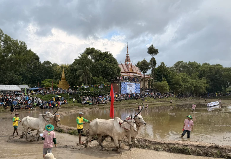 32 đôi bò tranh tài tại Hội đua bò truyền thống chùa Rô ở An Giang- Ảnh 3.