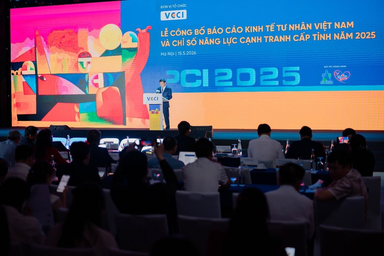 PCI 2.0: Đo hiệu quả cải cách từ sức mạnh của khu vực tư nhân- Ảnh 1.