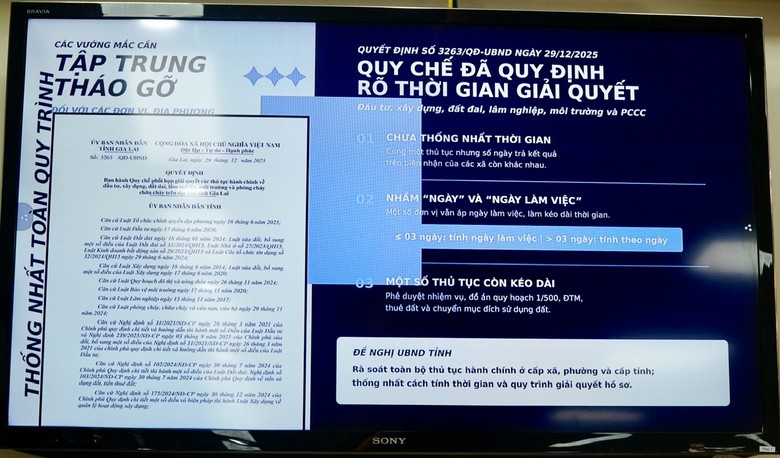 Gia Lai: Kh&ocirc;ng để dự &aacute;n được chấp thuận rồi "nằm im"- Ảnh 2.