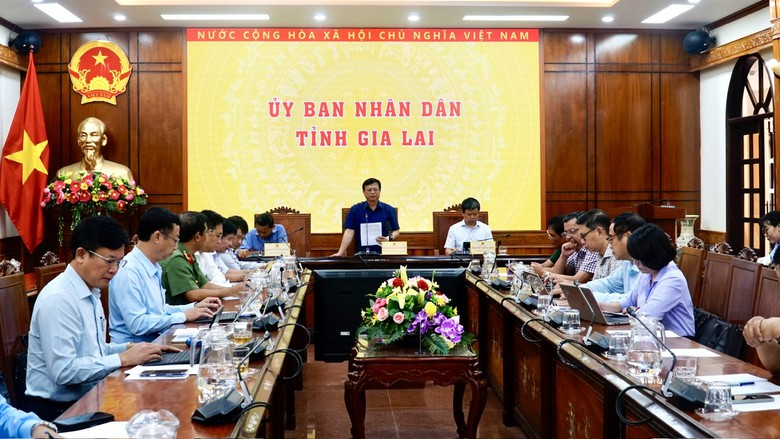 Gia Lai: Kh&ocirc;ng để dự &aacute;n được chấp thuận rồi "nằm im"- Ảnh 6.