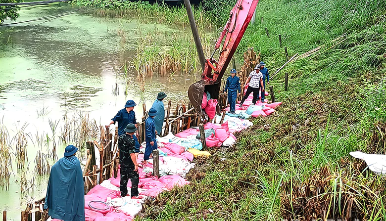 Ninh Bình: Huy động 130 người và máy xúc cùng 5.000 bao tải cát vá đê tả sông Đáy- Ảnh 2.