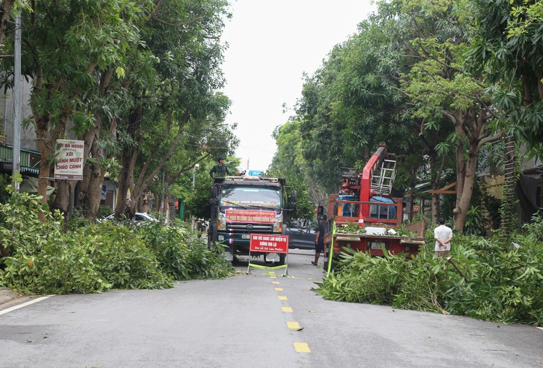 Nghệ An: Cắt tỉa 5.000 cây xanh trên các tuyến phố, đảm bảo an toàn trước mùa mưa bão- Ảnh 3.