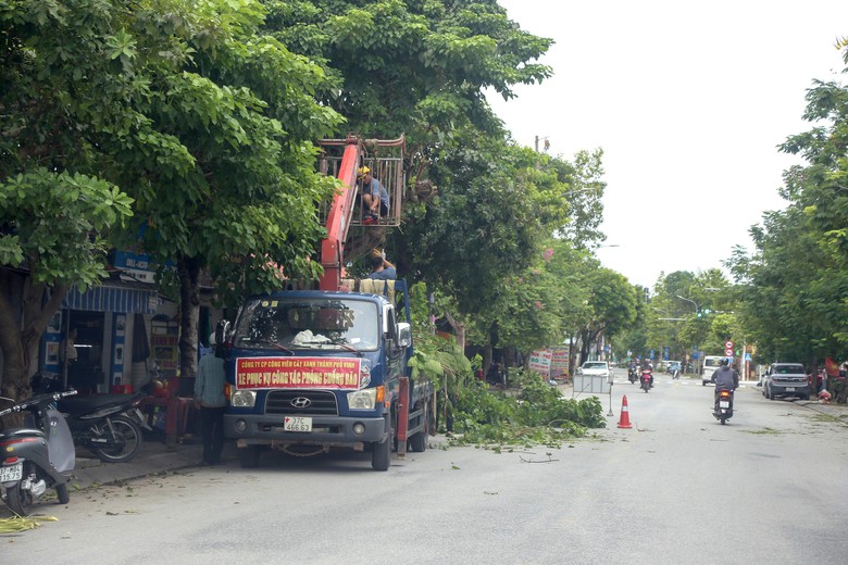 Nghệ An: Cắt tỉa 5.000 cây xanh trên các tuyến phố, đảm bảo an toàn trước mùa mưa bão- Ảnh 1.