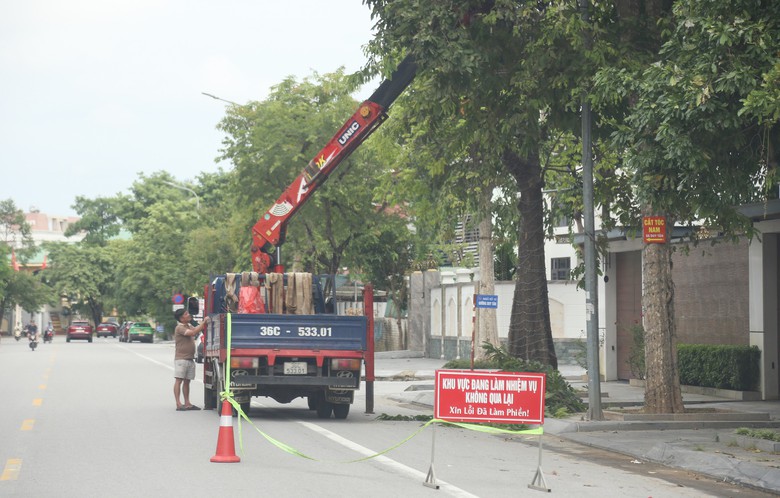Nghệ An: Cắt tỉa 5.000 cây xanh trên các tuyến phố, đảm bảo an toàn trước mùa mưa bão- Ảnh 5.