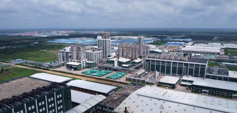 TP.HCM: Bàu Bàng chuẩn bị chuyển mình từ xã lên phường- Ảnh 3.