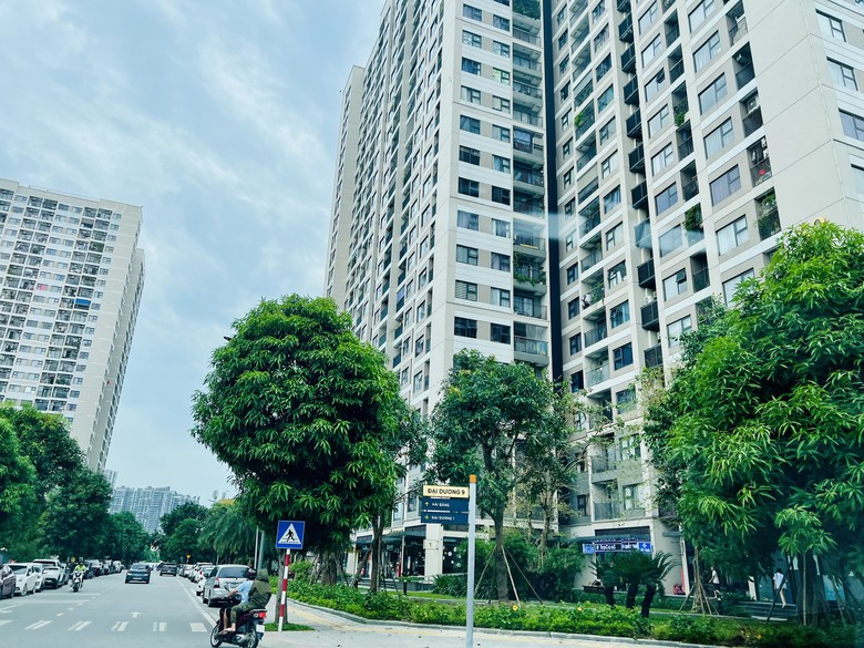 Chính phủ yêu cầu khẩn trương hoàn thiện dự án luật liên quan đất đai, nhà ở, bất động sản- Ảnh 3.