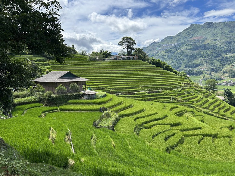 Lào Cai: Từ du lịch cộng đồng đến những sinh kế mới ở Tả Van- Ảnh 1.
