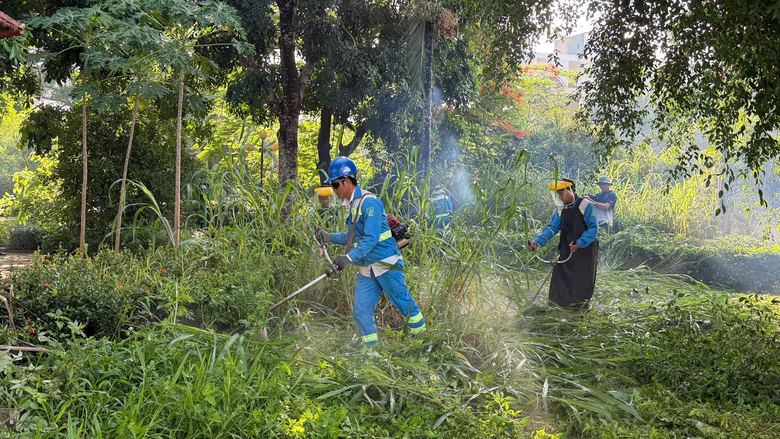 Làm sạch môi trường, đẹp cảnh quan hàng loạt khu dân cư ở Quảng Ngãi- Ảnh 1.