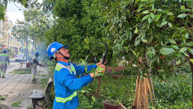 Làm sạch môi trường, đẹp cảnh quan hàng loạt khu dân cư ở Quảng Ngãi- Ảnh 3.
