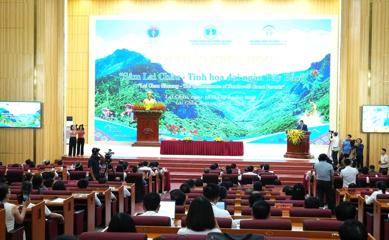 Liên kết 4 nhà, nâng giá trị sâm Lai Châu- Ảnh 1.