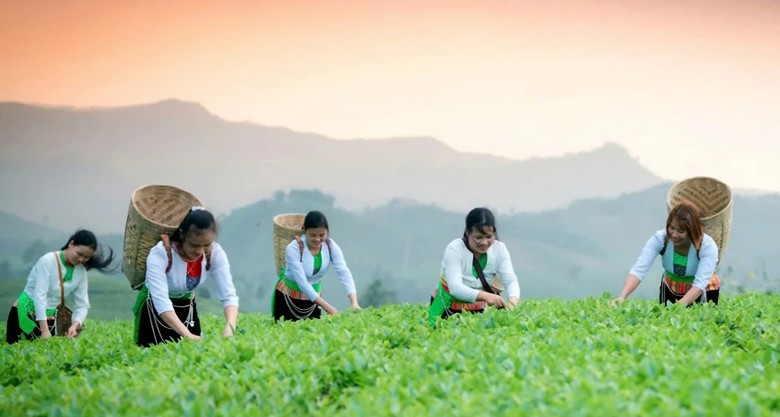 Ph&uacute; Thọ đ&oacute;n khoảng 350.000 lượt kh&aacute;ch, với doanh thu gần 370 tỷ đồng dịp 2/9 - Ảnh 3.