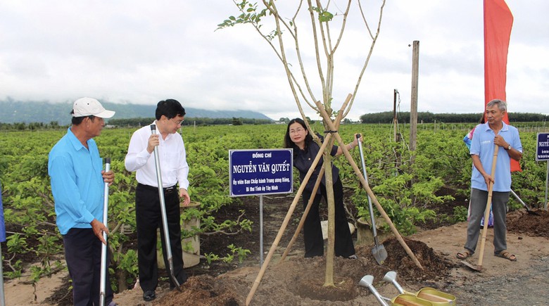 Tây Ninh giảm rác thải, hướng tới phát triển đô thị xanh- Ảnh 1.