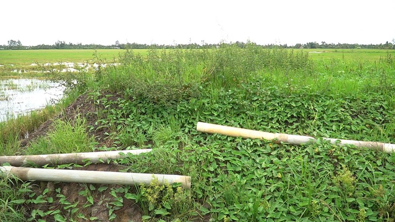 Cần Thơ: 4 năm, dự án 1.700 tỷ đồng thi công hơn 3,68%- Ảnh 2.