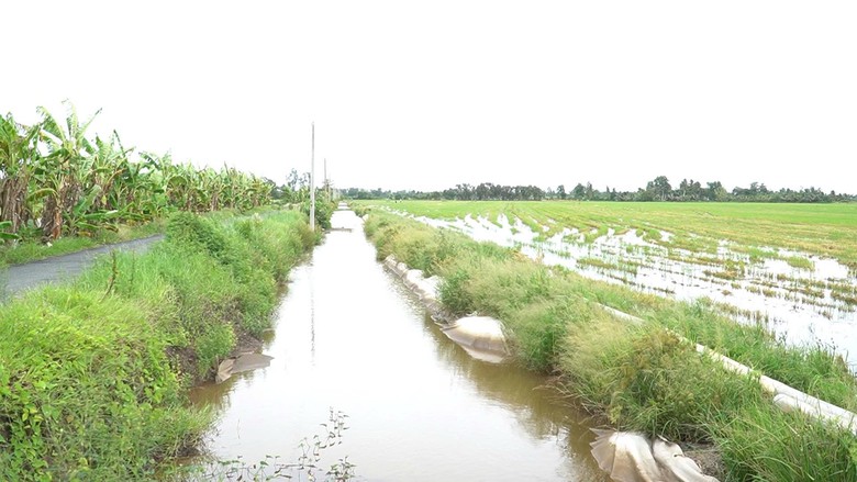 Cần Thơ: 4 năm, dự án 1.700 tỷ đồng thi công hơn 3,68%- Ảnh 3.