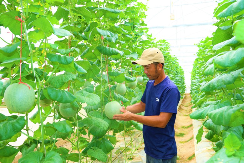 Khu dân cư thông minh gắn chuyển đổi số, nâng chất lượng sống của người dân Hà Tĩnh- Ảnh 2.