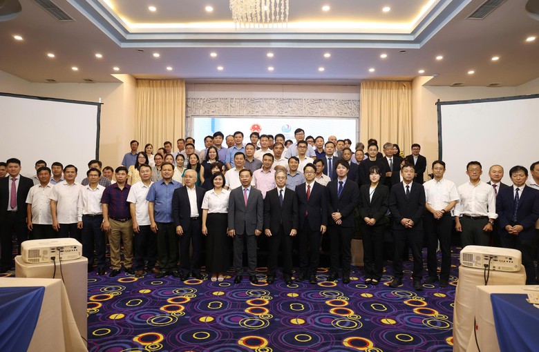 Việt Nam - Nhật Bản tìm giải pháp chống xói lở bờ biển- Ảnh 1.