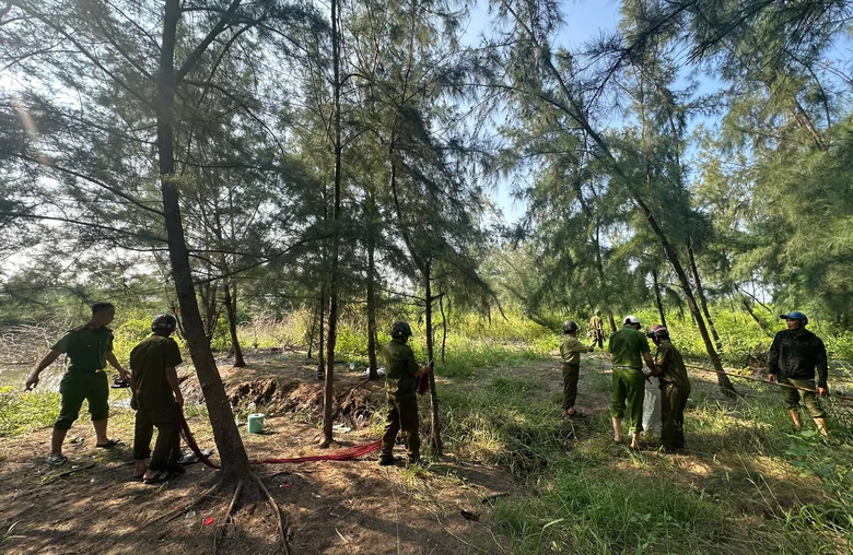 Nghệ An tháo dỡ 30.000 mét lưới, phạt nặng người săn bắn, mua bán chim hoang dã- Ảnh 1.