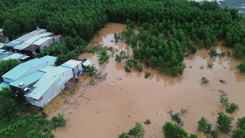 Mưa lũ ở Đồng Nai: 286 hộ dân bị ảnh hưởng, một phụ nữ tử vong do nước cuốn- Ảnh 1.