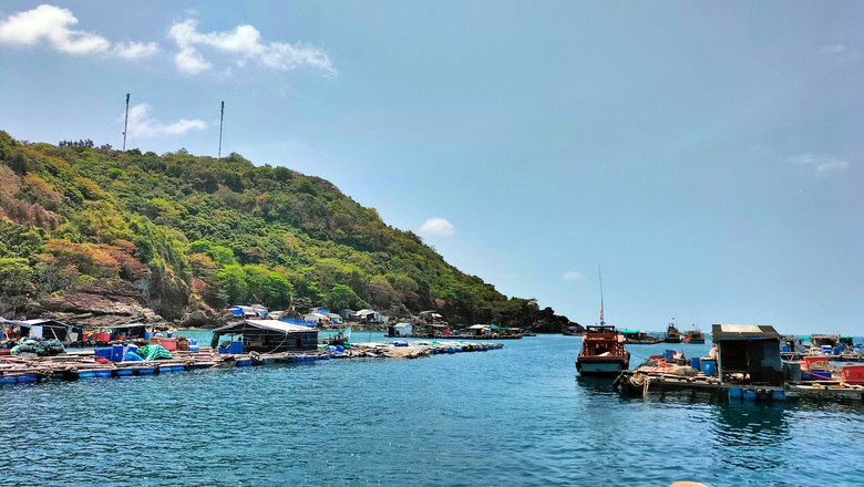 Cà Mau ưu tiên nâng cấp hạ tầng, phát triển du lịch thành ngành kinh tế trụ cột- Ảnh 3.