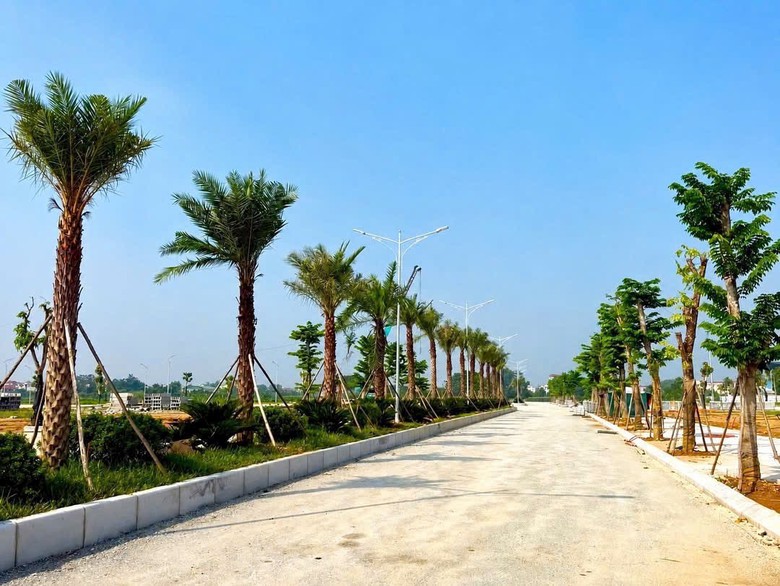 Phú Thọ: Khu đô thị Yên Lạc - Dragon City tăng tốc hoàn thiện hạ tầng, cảnh quan- Ảnh 1.