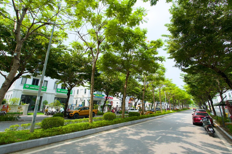 Dòng chảy văn hóa OCOP lan tỏa nhịp sống cộng đồng tại Khu đô thị Dương Nội- Ảnh 5.