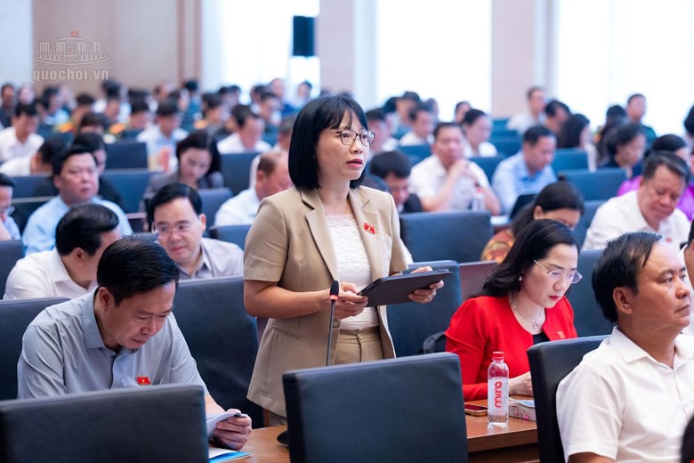 Cân nhắc việc áp dụng dừng xuất cảnh, cắt điện, nước trong xử phạt vi phạm hành chính- Ảnh 2.