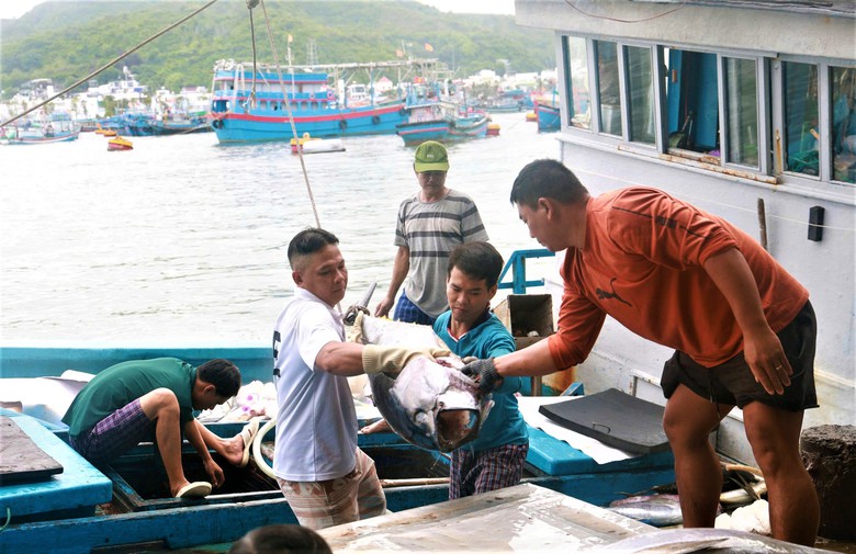 Gần 2 năm nay, Khánh Hòa không có tàu cá vi phạm khai thác ở vùng biển nước ngoài- Ảnh 2.