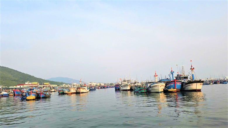 Gần 2 năm nay, Khánh Hòa không có tàu cá vi phạm khai thác ở vùng biển nước ngoài- Ảnh 4.