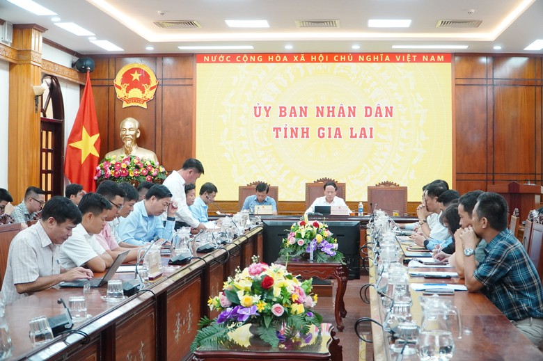 Gia Lai tìm cách tháo điểm nghẽn, thúc đẩy thu hút đầu tư vào khu công nghiệp- Ảnh 4.