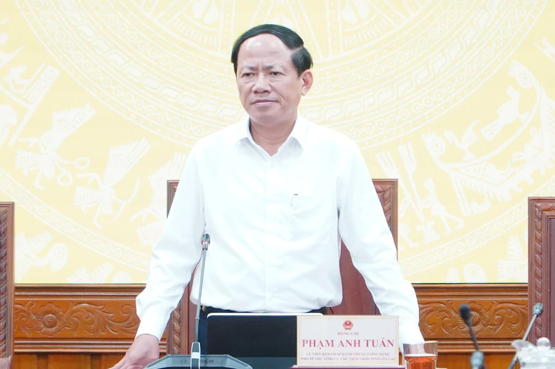 Gia Lai tìm cách tháo điểm nghẽn, thúc đẩy thu hút đầu tư vào khu công nghiệp- Ảnh 1.