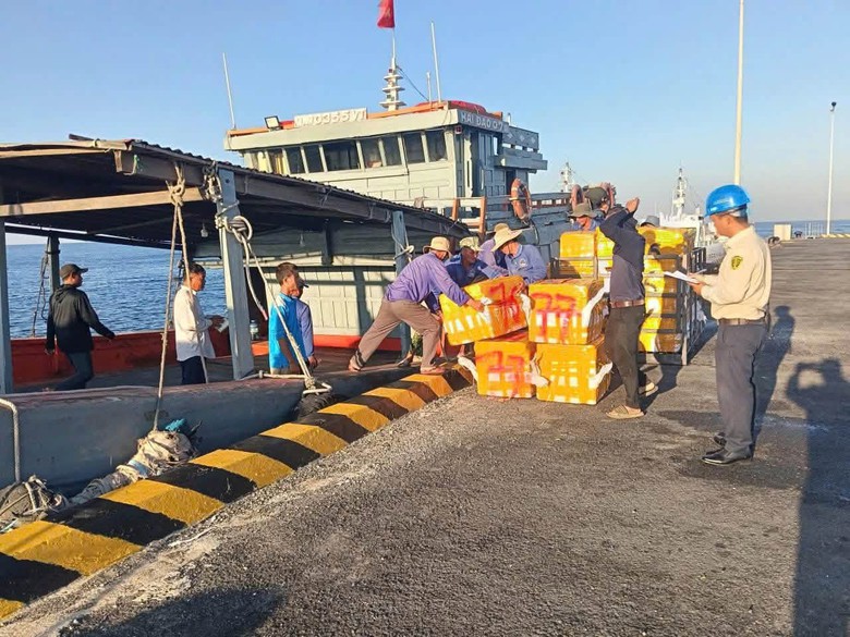 Cảng Bến Đình ở Quảng Ngãi chính thức tiếp nhận tàu hàng cập cảng- Ảnh 1.