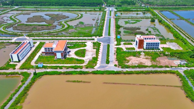 Bài cuối: Thanh tra toàn diện, phát huy hiệu quả Khu công nghệ cao tôm Bạc Liêu- Ảnh 1.