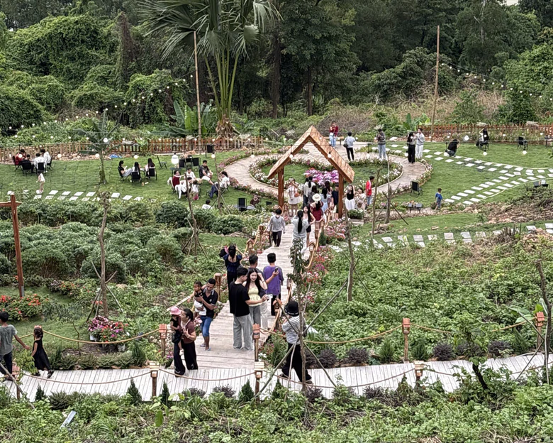 Buộc th&aacute;o dỡ qu&aacute;n c&agrave; ph&ecirc; x&acirc;y tr&aacute;i ph&eacute;p tr&ecirc;n đất rừng ph&ograve;ng hộ ở An Giang- Ảnh 1.