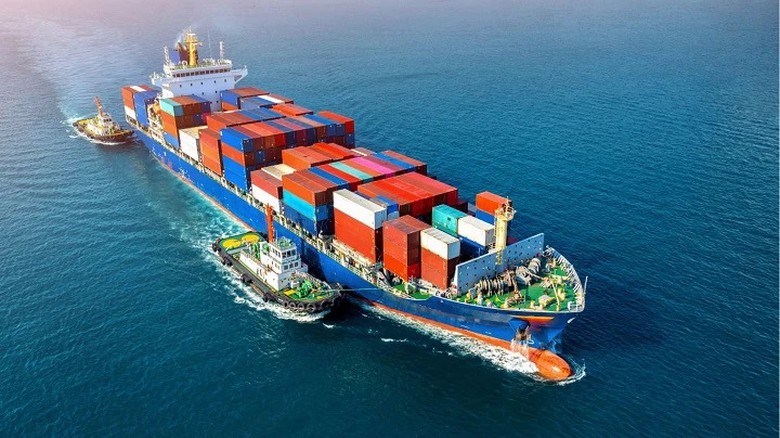 Siết kiểm tra chằng buộc h&agrave;ng ho&aacute;, hạn chế t&agrave;u thuyền Việt Nam bị lưu giữ tại nước ngo&agrave;i - Ảnh 1.