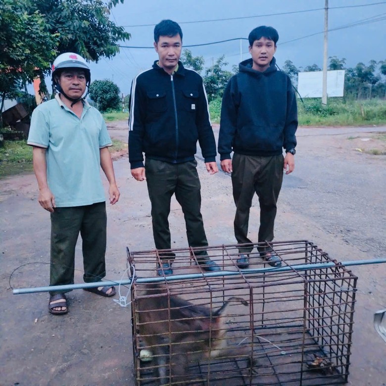 Khống chế th&agrave;nh c&ocirc;ng khỉ hoang tấn c&ocirc;ng trẻ em ở Quảng Ng&atilde;i- Ảnh 2.