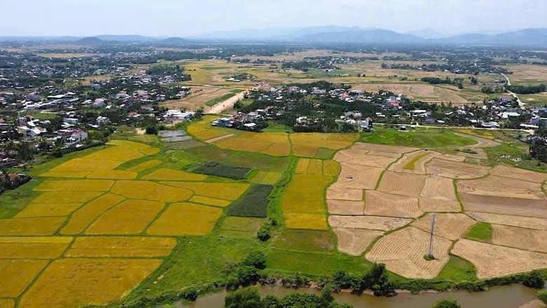 B&iacute; thư Tỉnh ủy Quảng Ng&atilde;i l&agrave;m trưởng ban chỉ đạo GPMB dự &aacute;n đường sắt tốc độ cao- Ảnh 1.