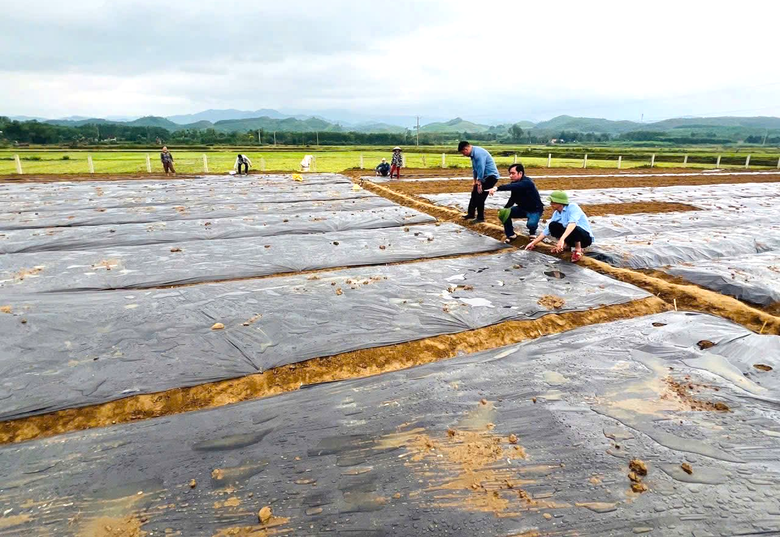 H&agrave; Tĩnh: X&atilde; Hương Xu&acirc;n đẩy mạnh ph&aacute;t triển m&ocirc; h&igrave;nh li&ecirc;n kết sản xuất n&ocirc;ng nghiệp- Ảnh 2.