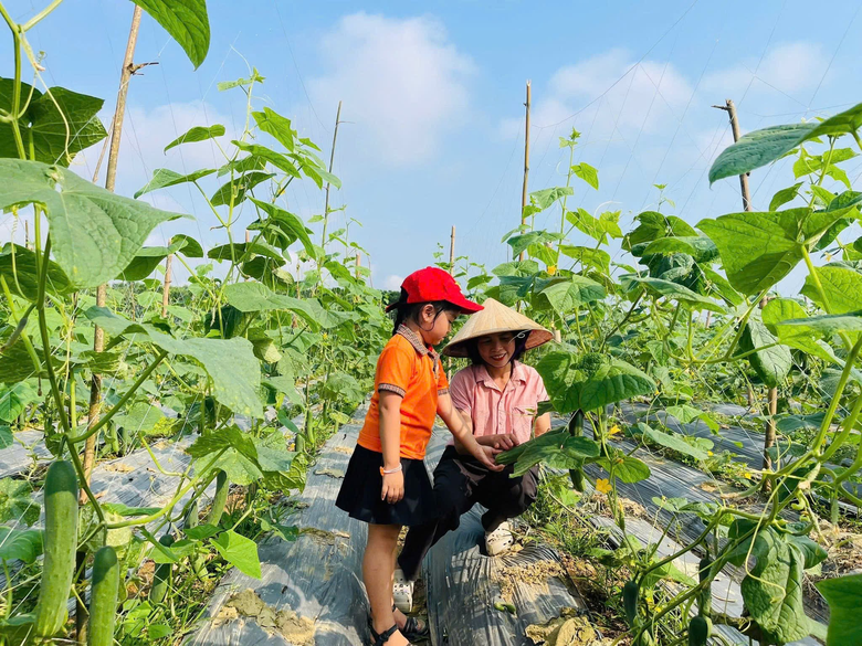 H&agrave; Tĩnh: X&atilde; Hương Xu&acirc;n đẩy mạnh ph&aacute;t triển m&ocirc; h&igrave;nh li&ecirc;n kết sản xuất n&ocirc;ng nghiệp- Ảnh 5.