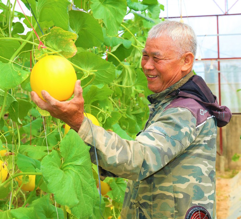H&agrave; Tĩnh x&acirc;y dựng n&ocirc;ng th&ocirc;n mới với n&ocirc;ng nghiệp c&ocirc;ng nghệ cao- Ảnh 2.
