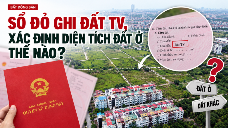 Sổ đỏ ghi đất TV, xác định diện tích đất ở thế nào? - Ảnh 1.