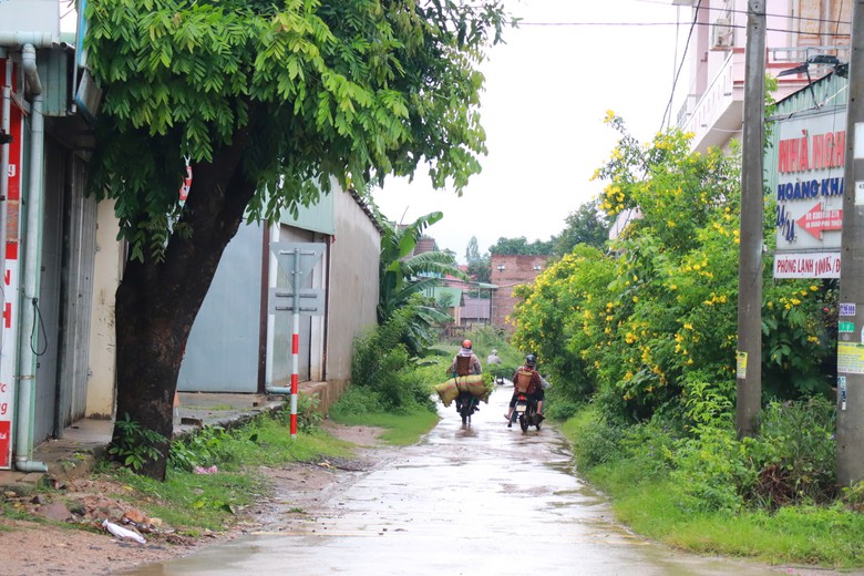 Gia Lai: Hơn 1.100 tỷ đồng cho b&ecirc; t&ocirc;ng h&oacute;a n&ocirc;ng th&ocirc;n, vẫn vướng cung ứng xi măng- Ảnh 3.