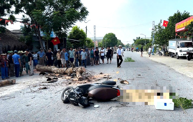 Thanh Hóa: Cưa cây đổ ra đường làm một người đi xe máy tử vong- Ảnh 1.