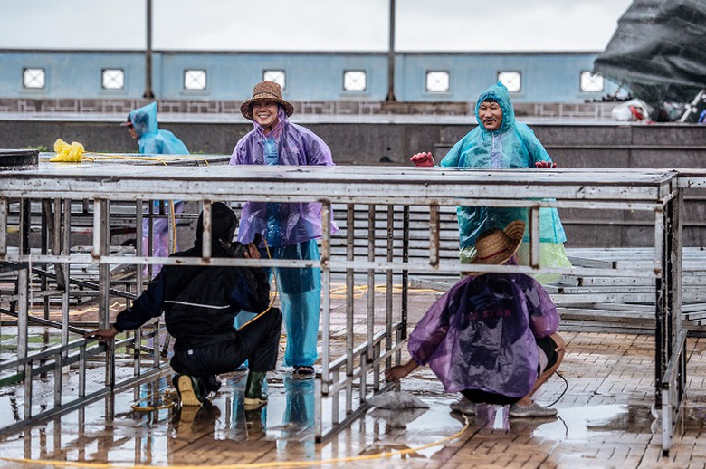 HOA HAU VIET NAM 2018 (11)