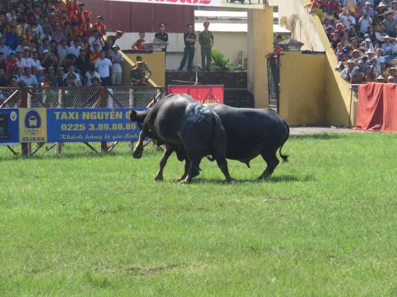 22095701_1176613699149353_1340395498_o