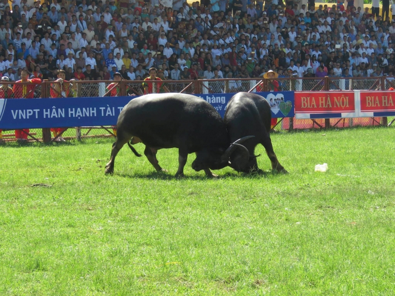 22119722_1176613619149361_55746685_o