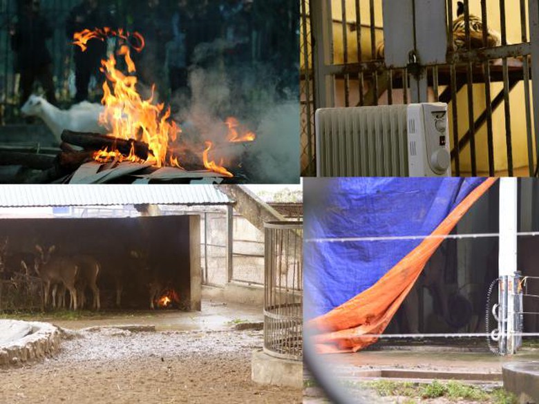 26694552_10208381774581650_431034708_n